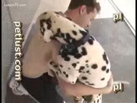 Dalmatian Fucks A Dude